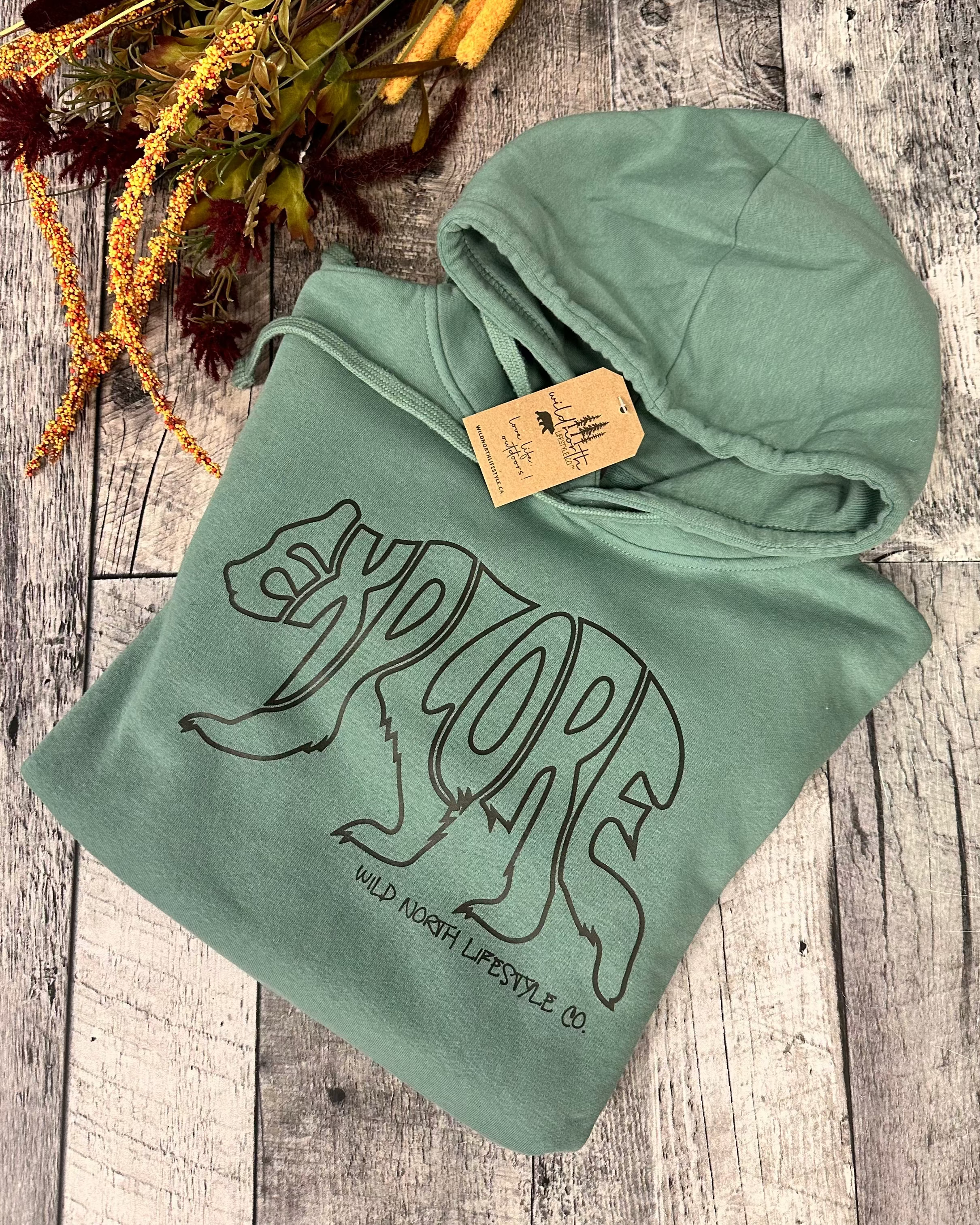 Explore Bear Hoodie