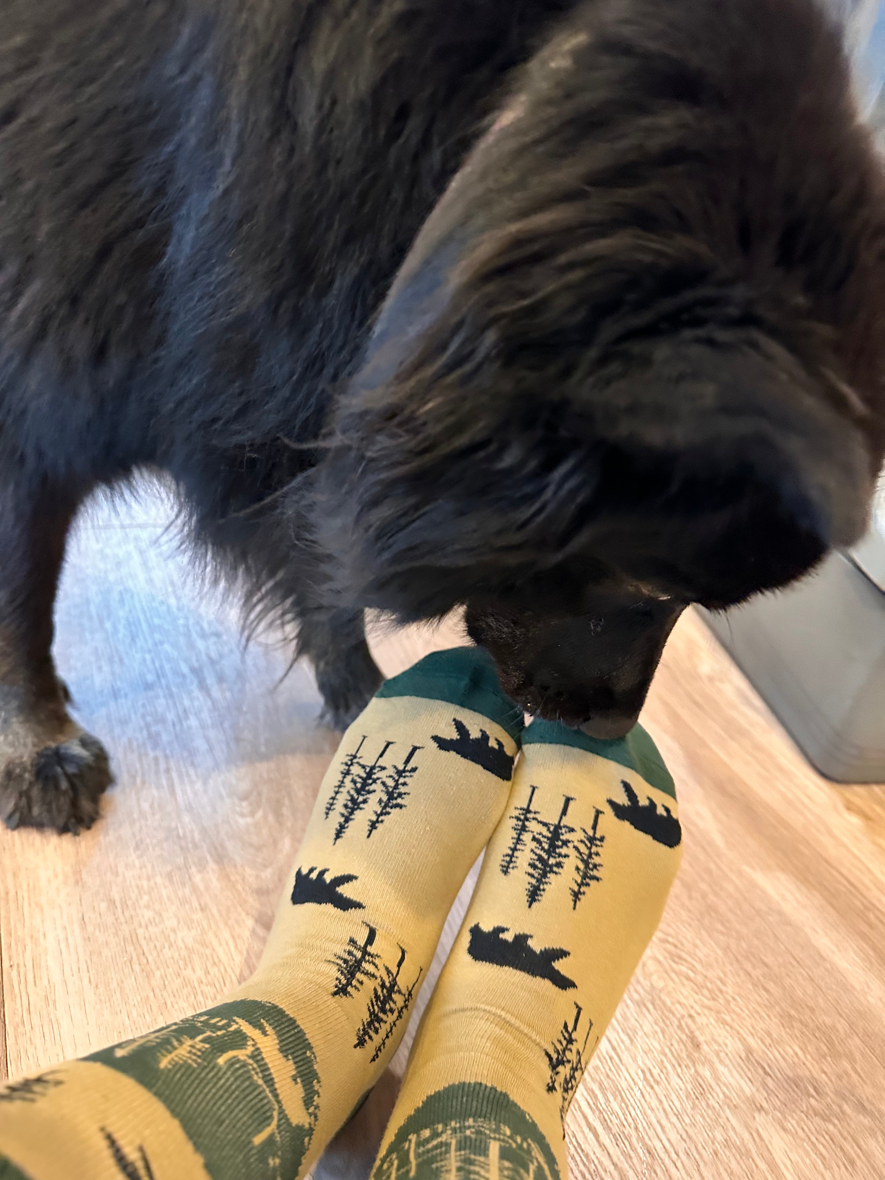 Wild North Unisex Sock