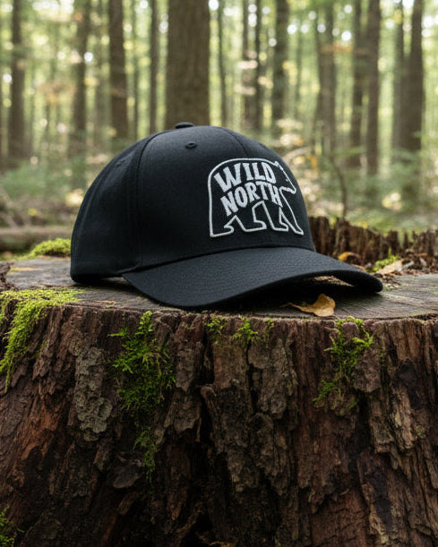 Northbound Bear Flexfit Fitted Cap
