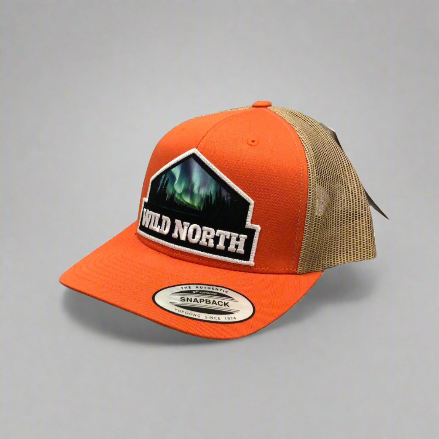 Northern Lights Patch Snapback Trucker Cap
