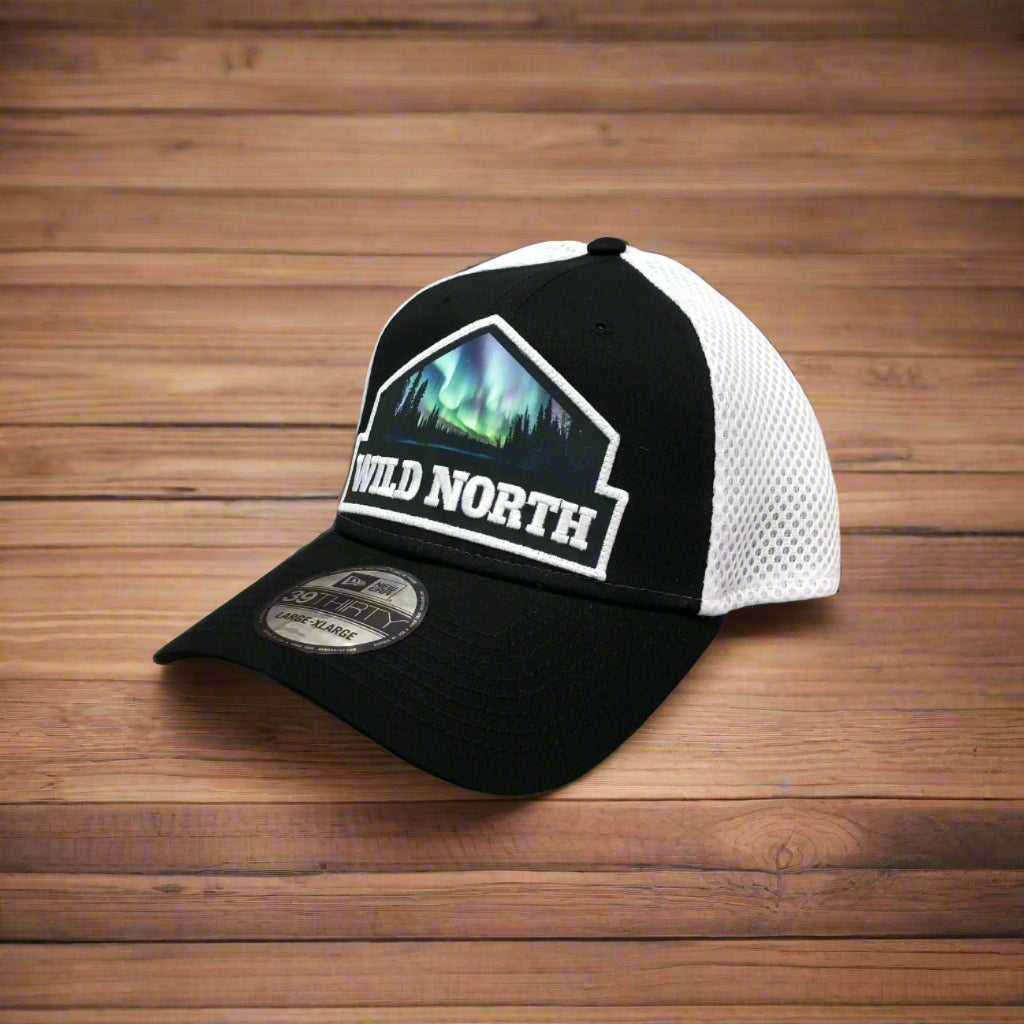 Northern Lights Patch Fitted Stretch Mesh Cap